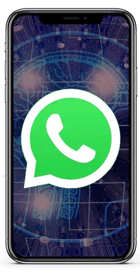 WhatsApp y Telegram: Chat 