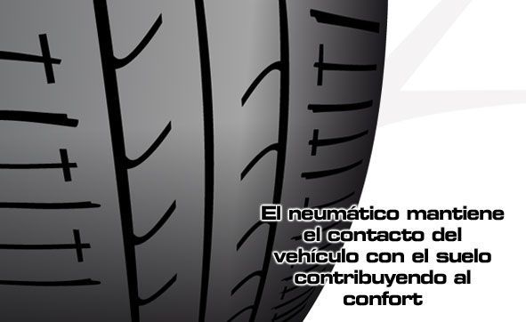 Elementos activos