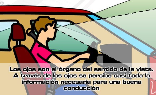 El conductor