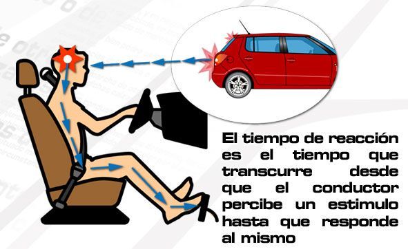 El conductor