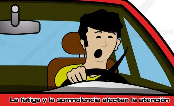 El conductor