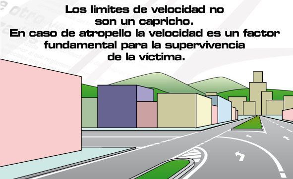 Circulación de vehículos