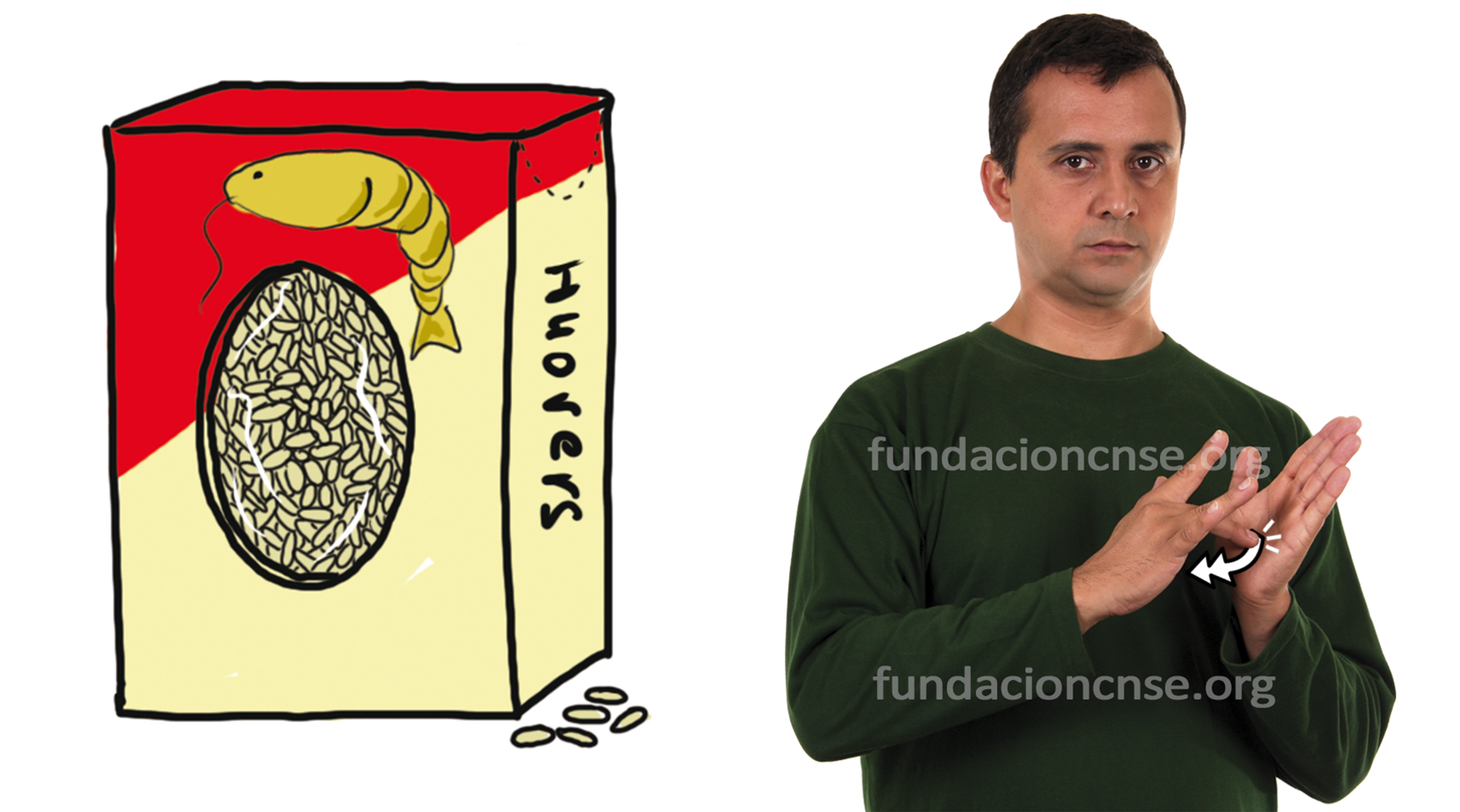 arroz