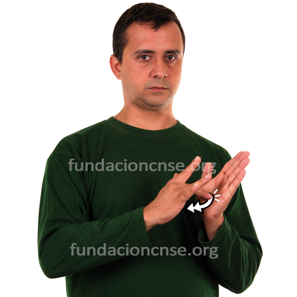 arroz