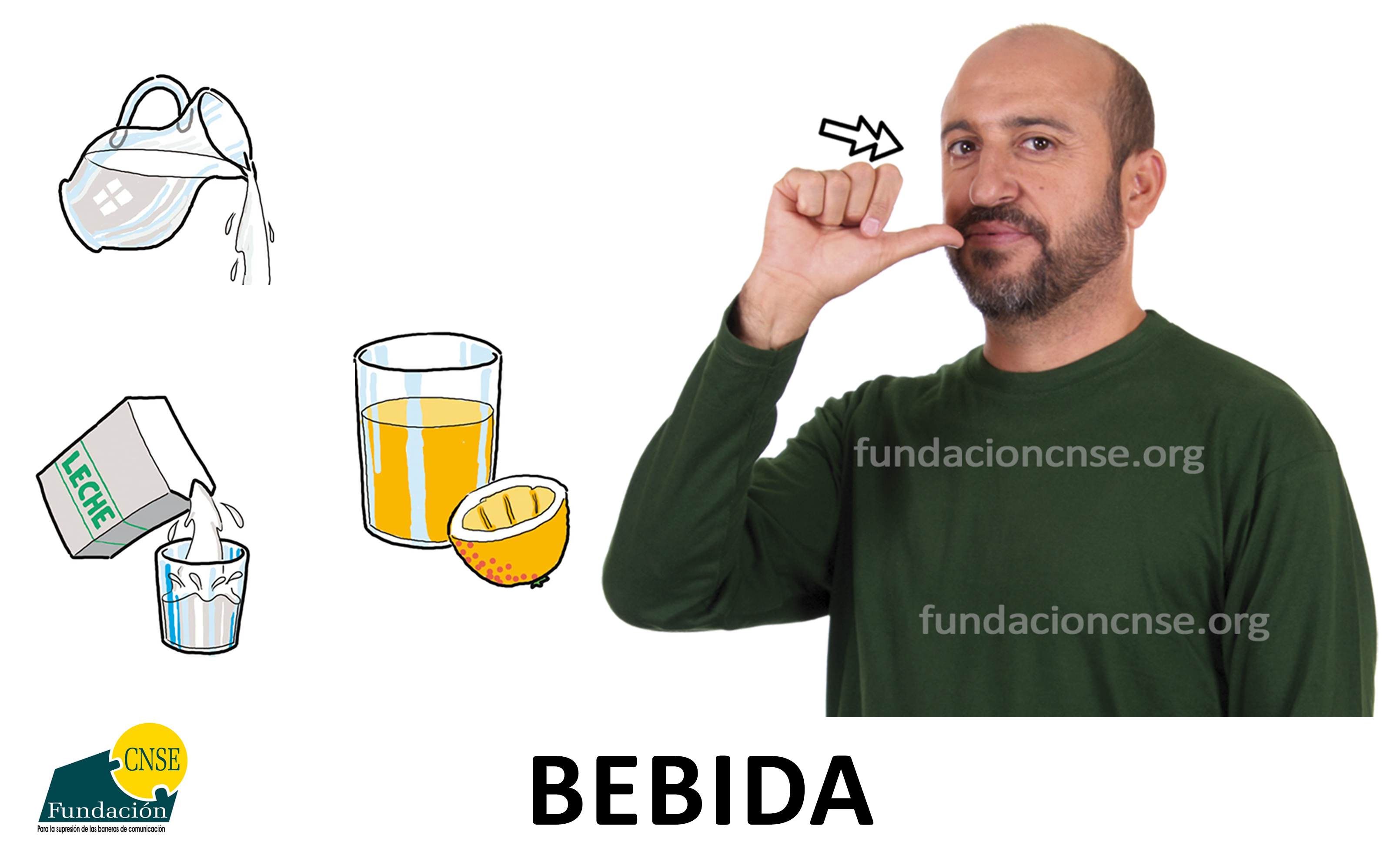 bebida
