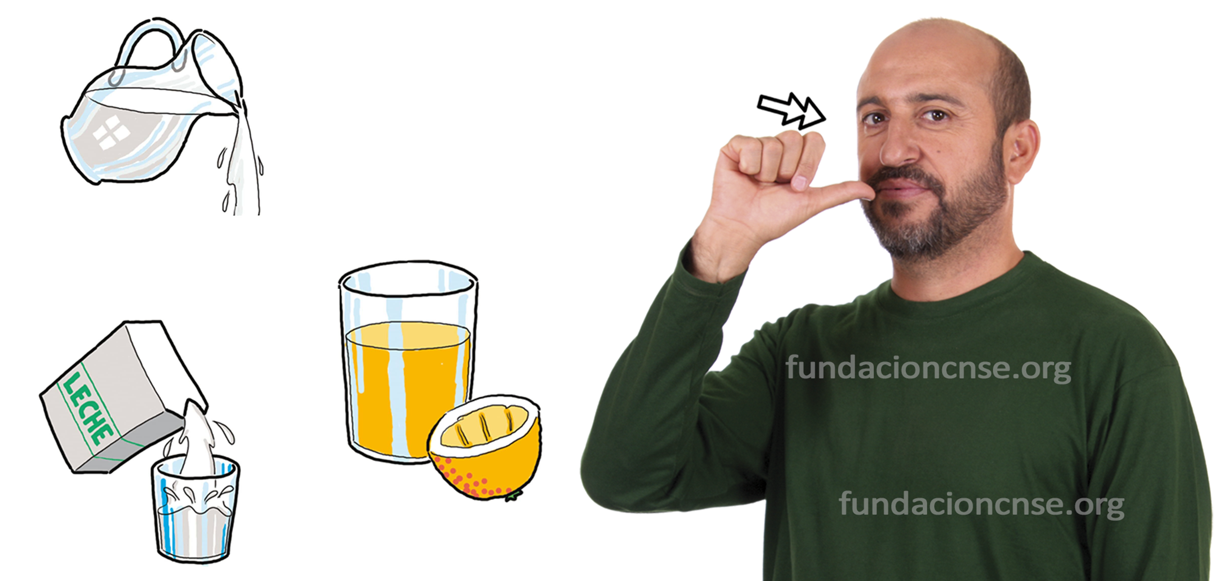 bebida