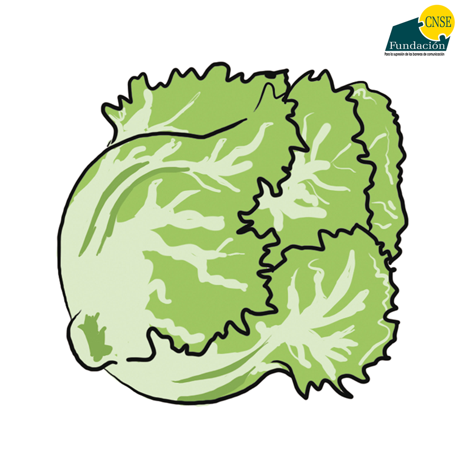lechuga 