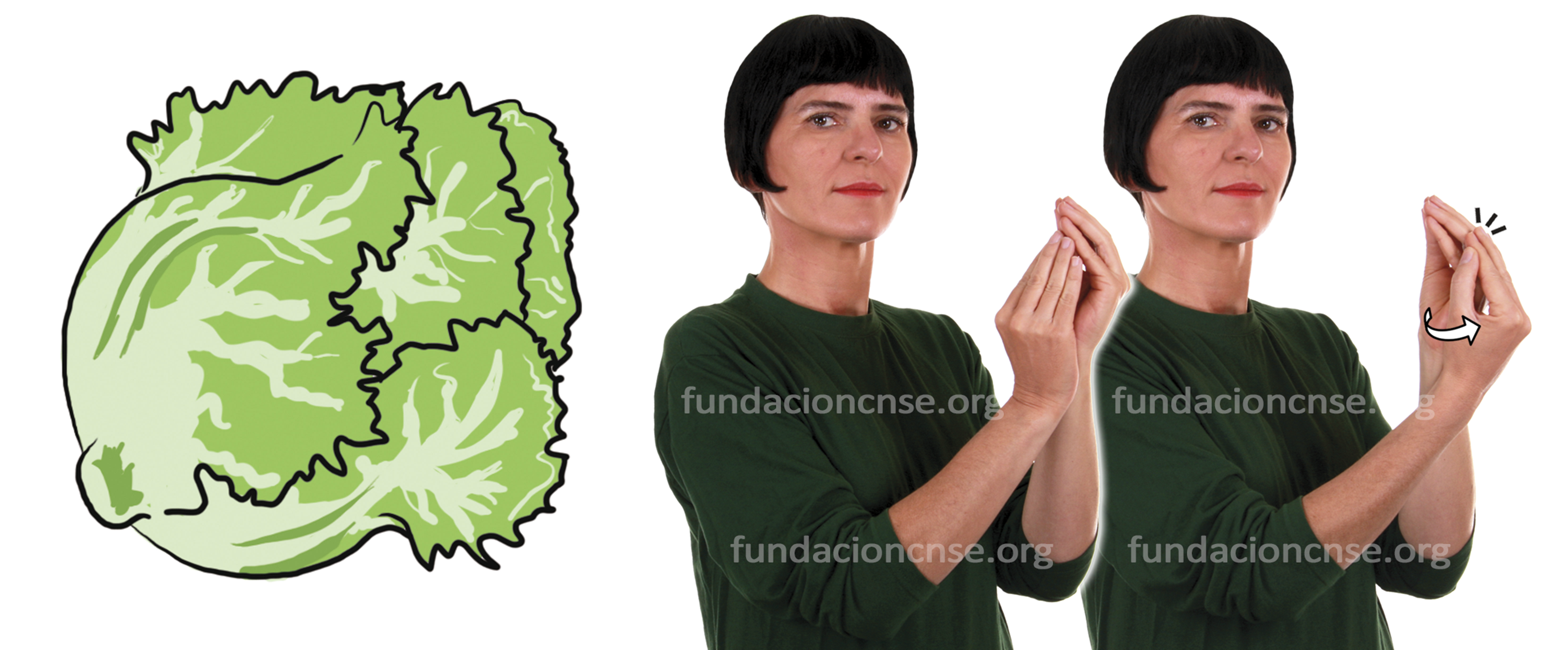 lechuda