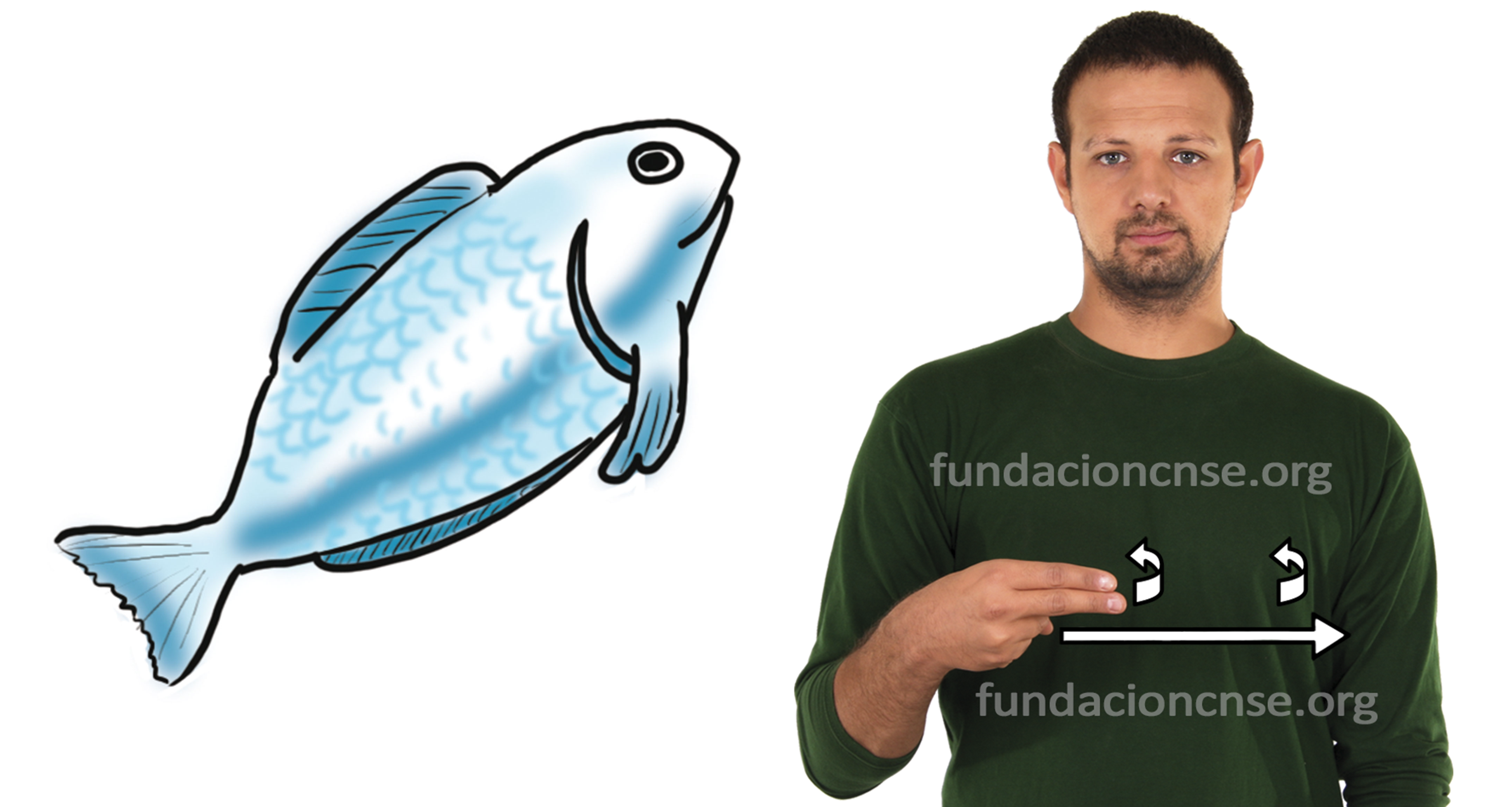 pescado