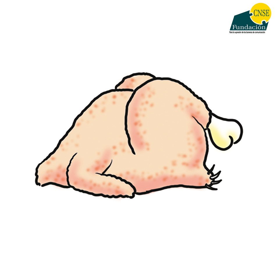 pollo dibujo