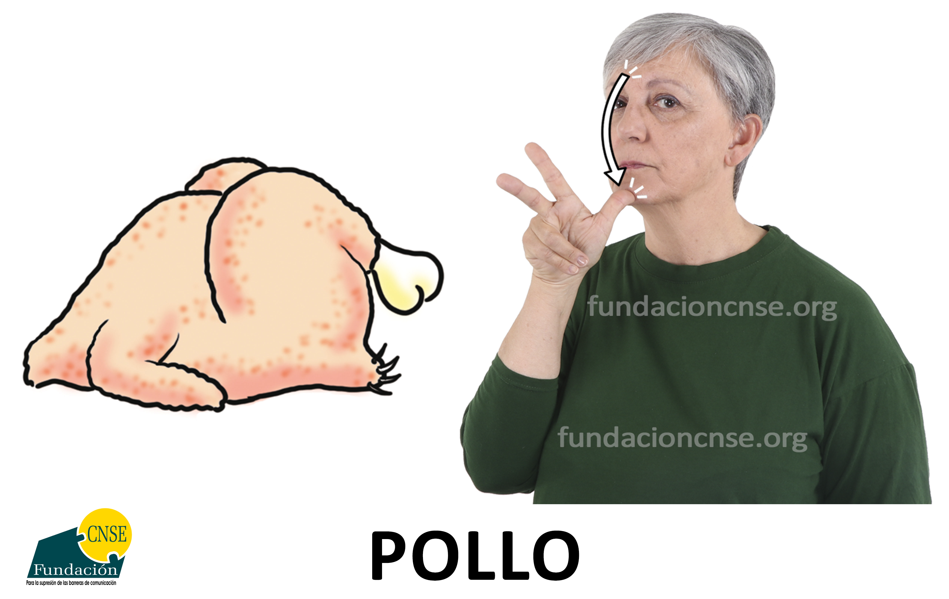 pollo