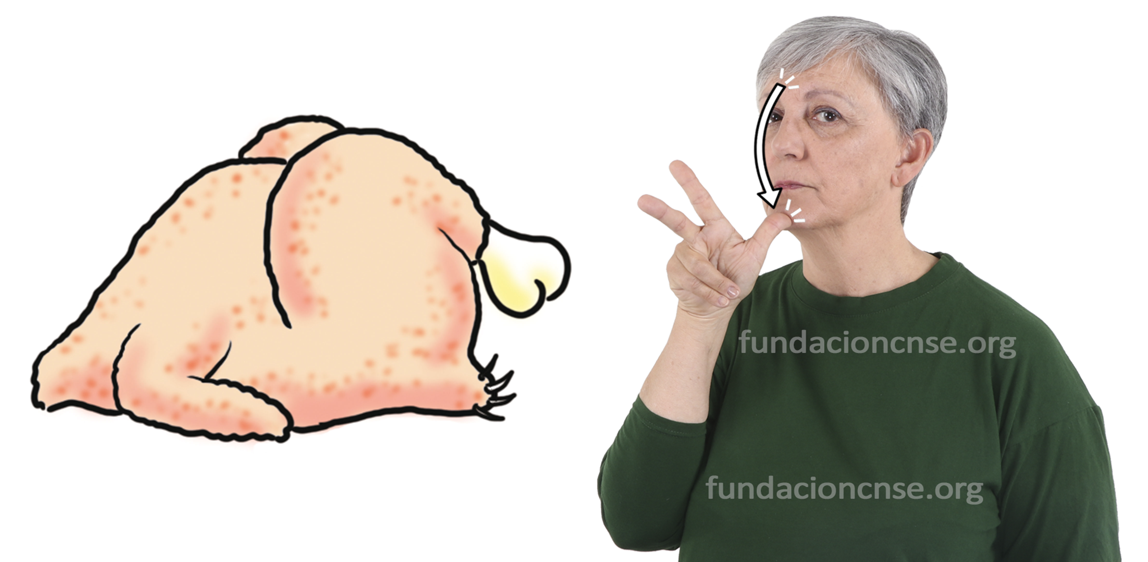 pollo