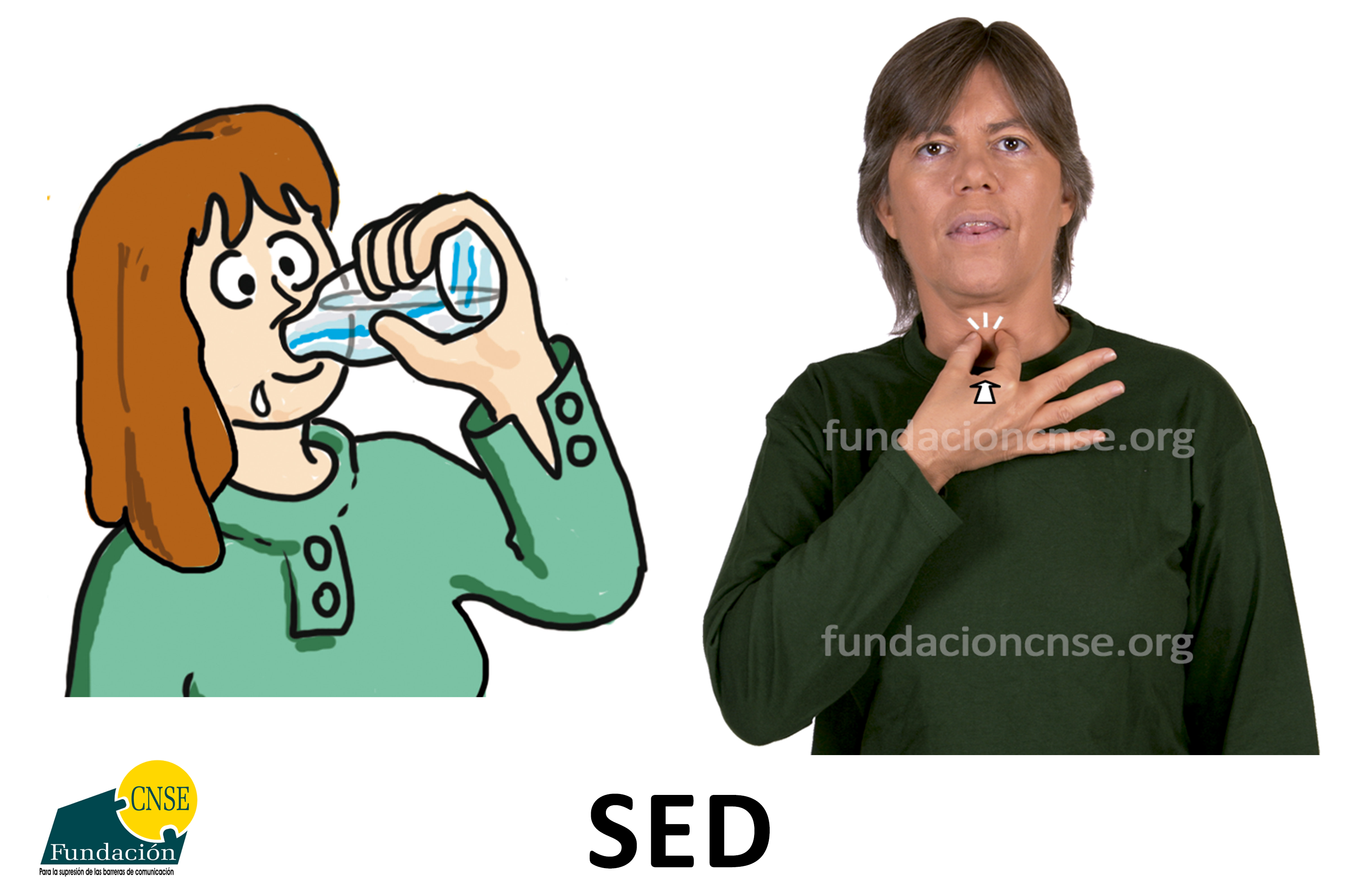 sed