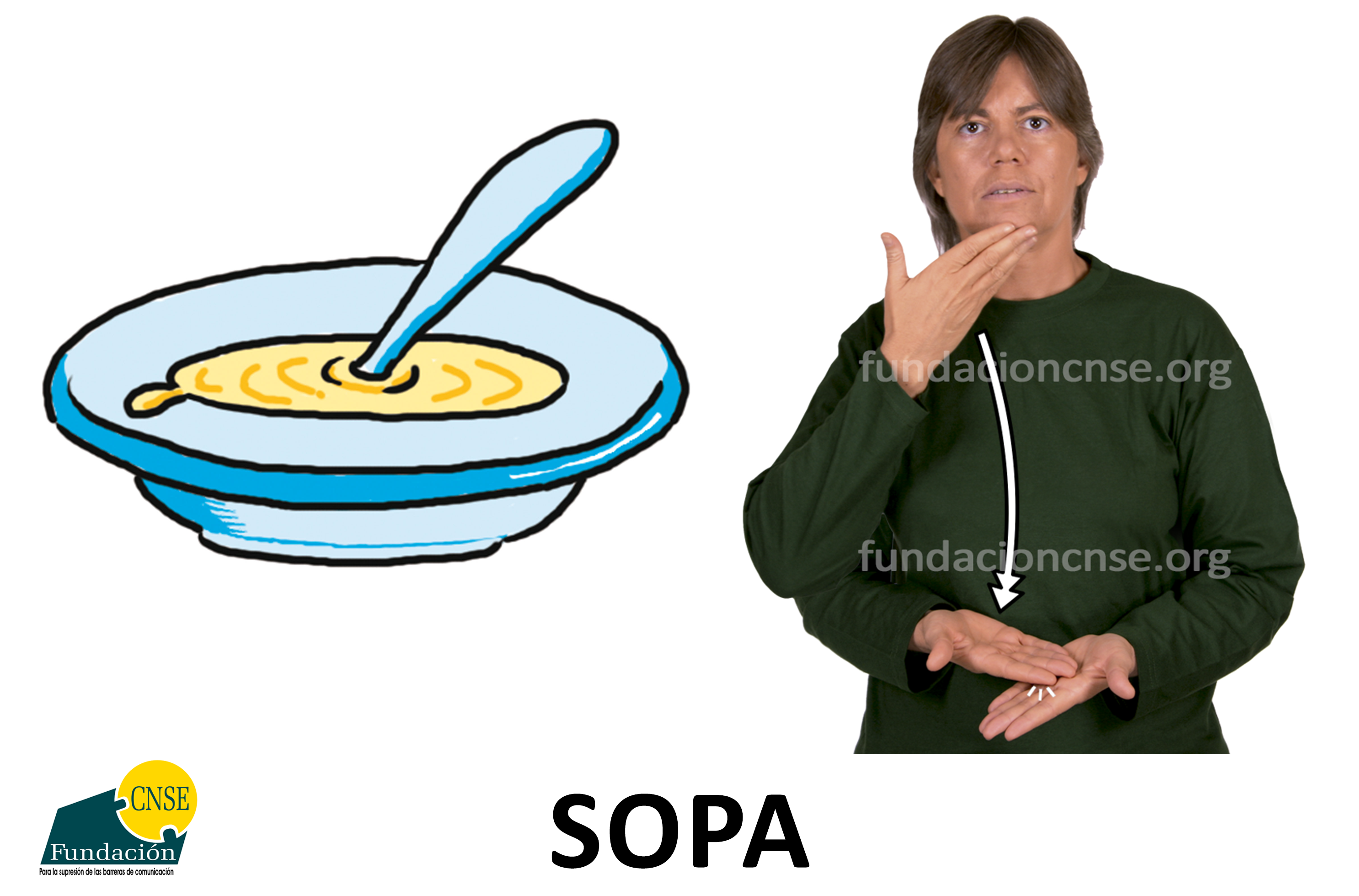 sopa