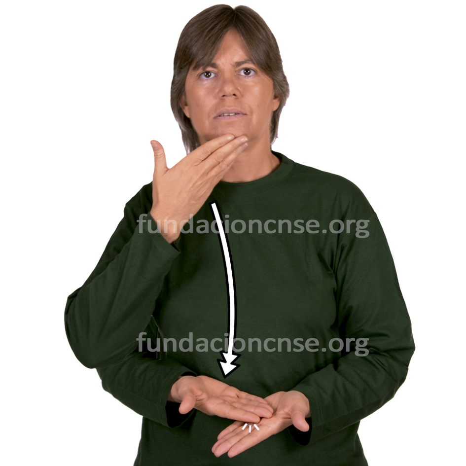 sopa