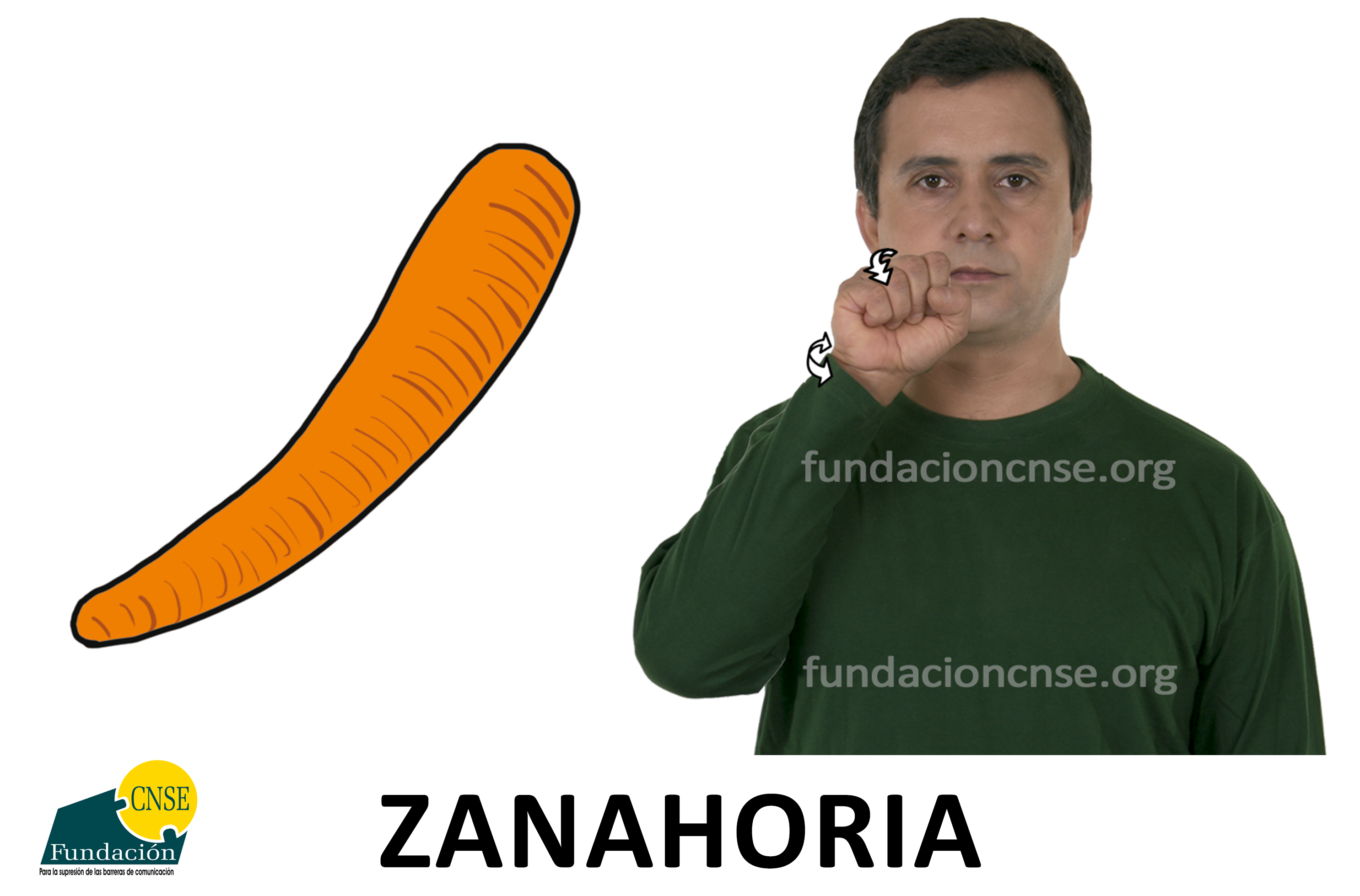 zanahoria