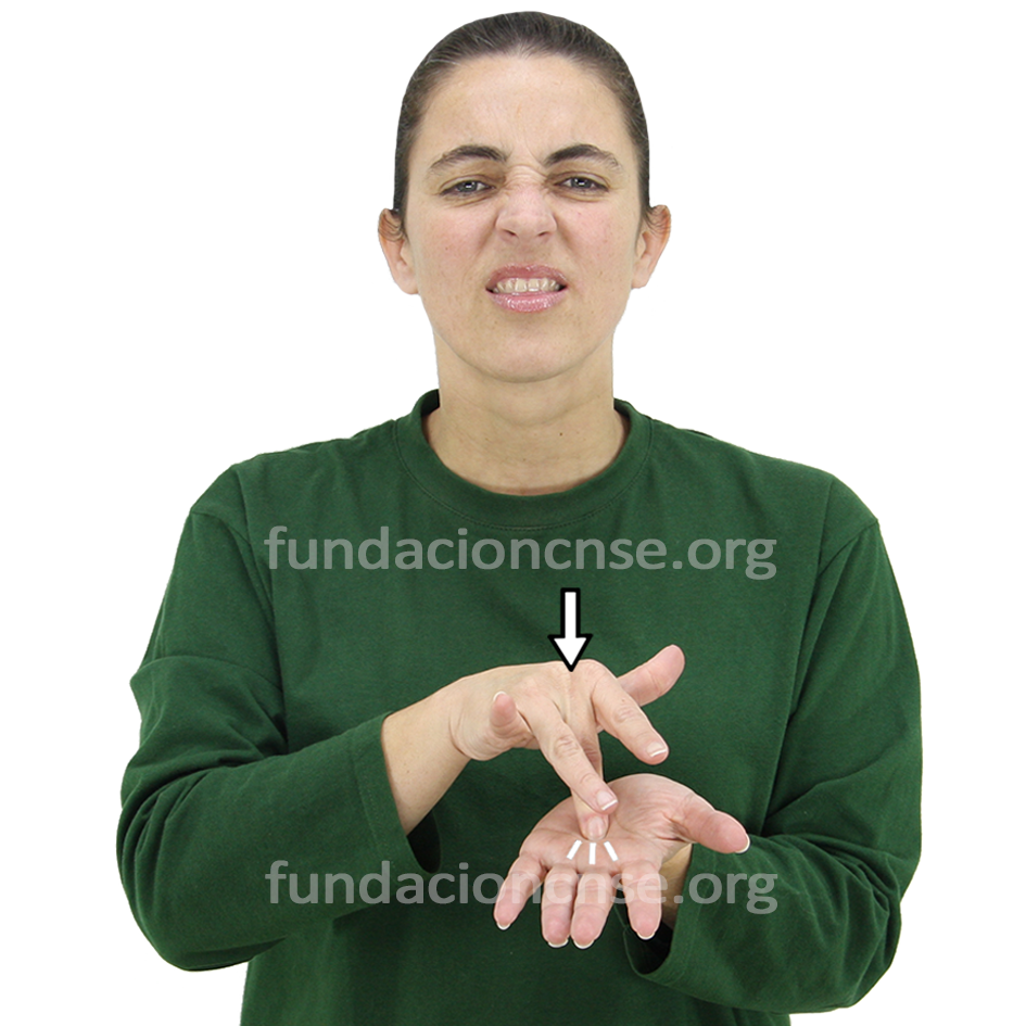 Qué día es