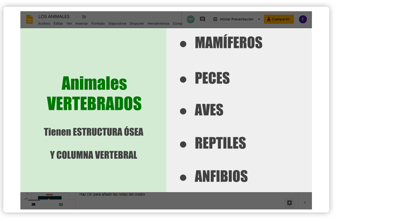 Video en LSE