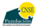 Logo fundacion CNSE
