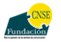 Logo fundación CNSE